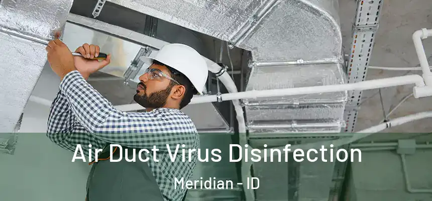 Air Duct Virus Disinfection Meridian - ID