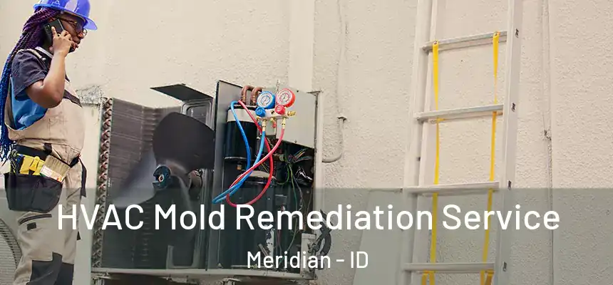 HVAC Mold Remediation Service Meridian - ID