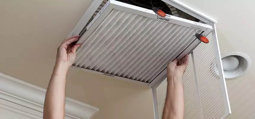 Preventive Cockroach-Proofing for Ducts in Meridian