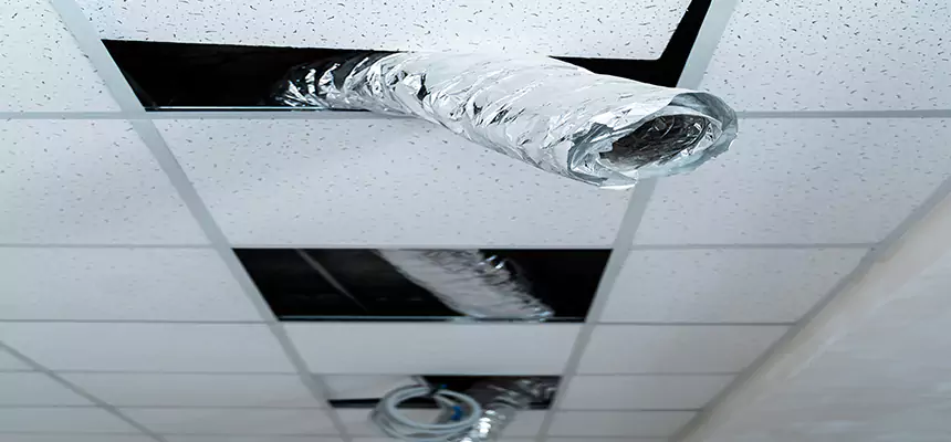 Affordable HVAC Sanitizing After Pest Removal in Meridian