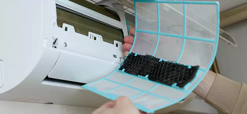 Gentle Ductwork Odor-Control Pet Dander Duct Cleaning in Meridian, ID