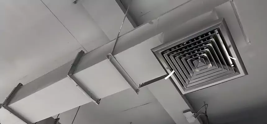 Our Rodent Droppings In Vents Services in Meridian, ID