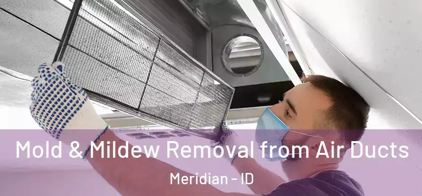  Mold & Mildew Removal from Air Ducts Meridian - ID