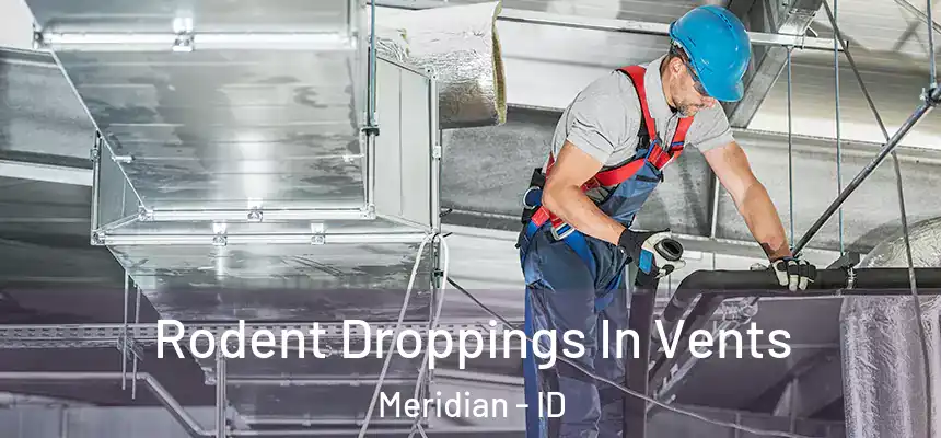  Rodent Droppings In Vents Meridian - ID