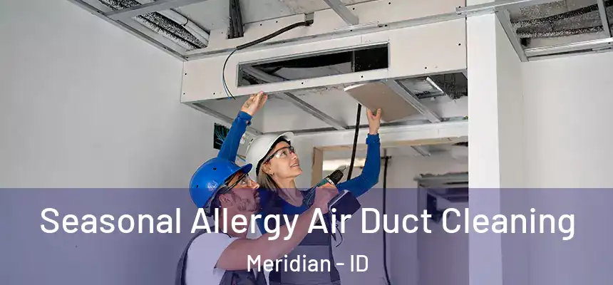  Seasonal Allergy Air Duct Cleaning Meridian - ID