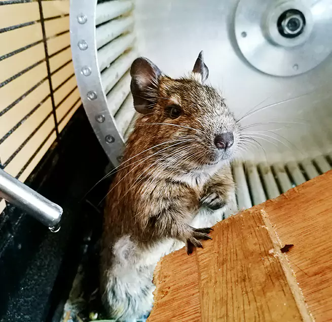 Why Homeowners & Businesses Trust Us Meridian, ID