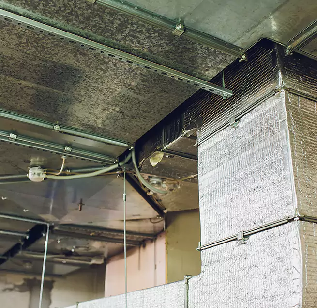 Why Homeowners & Businesses Trust Us in Meridian, ID?