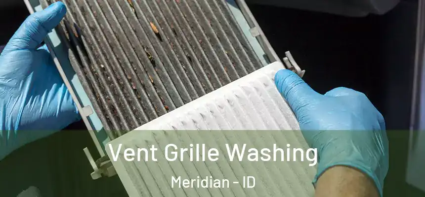  Vent Grille Washing Meridian - ID